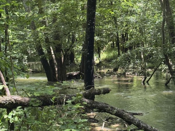 2784 Fiery Gizzard Road , South Pittsburg, TN 37380