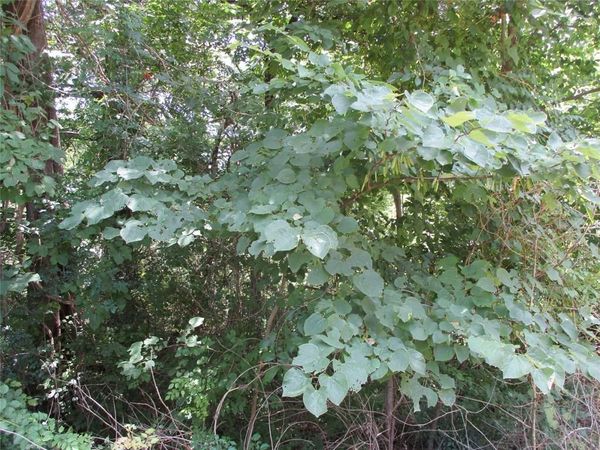 TBD Laura Dr. , Edgewood, TX 75117