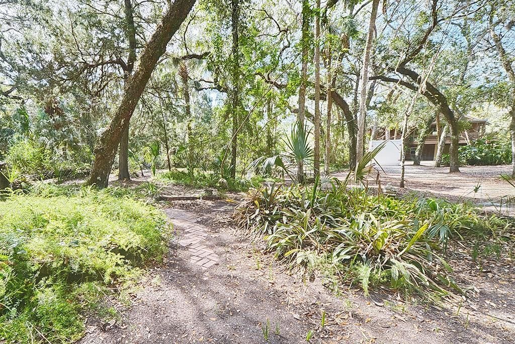 6618 S Beagle Drive, Homosassa, FL 34448 Photo