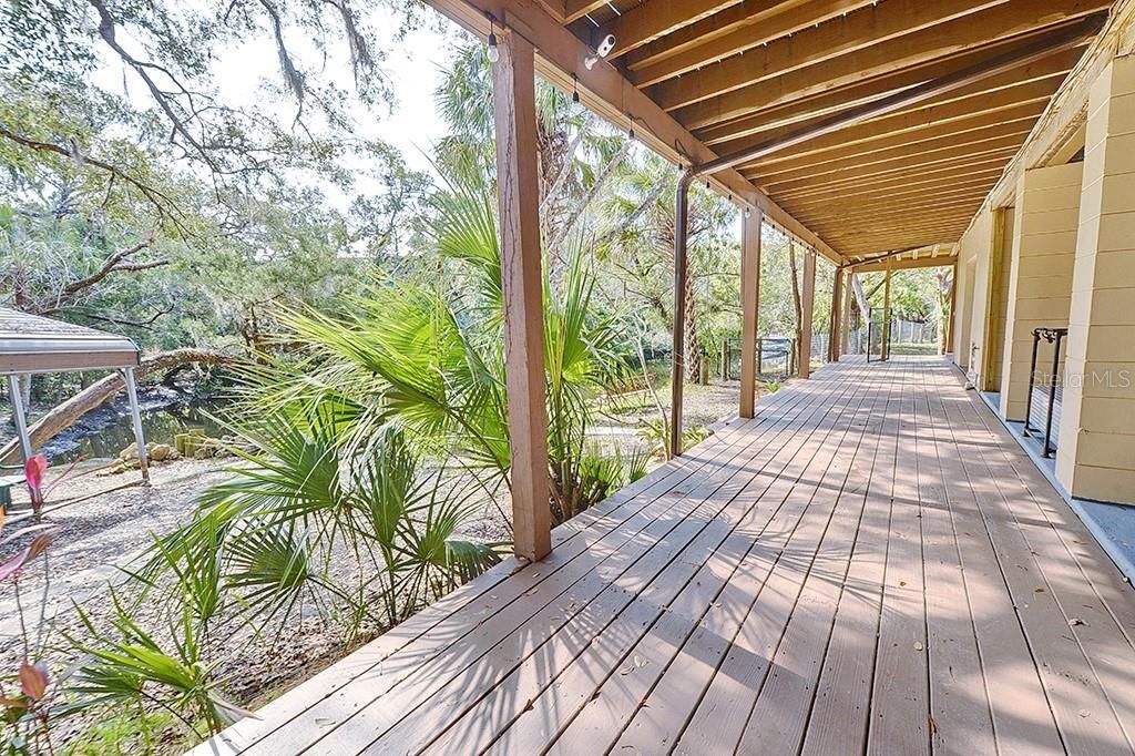 6618 S Beagle Drive, Homosassa, FL 34448 Photo
