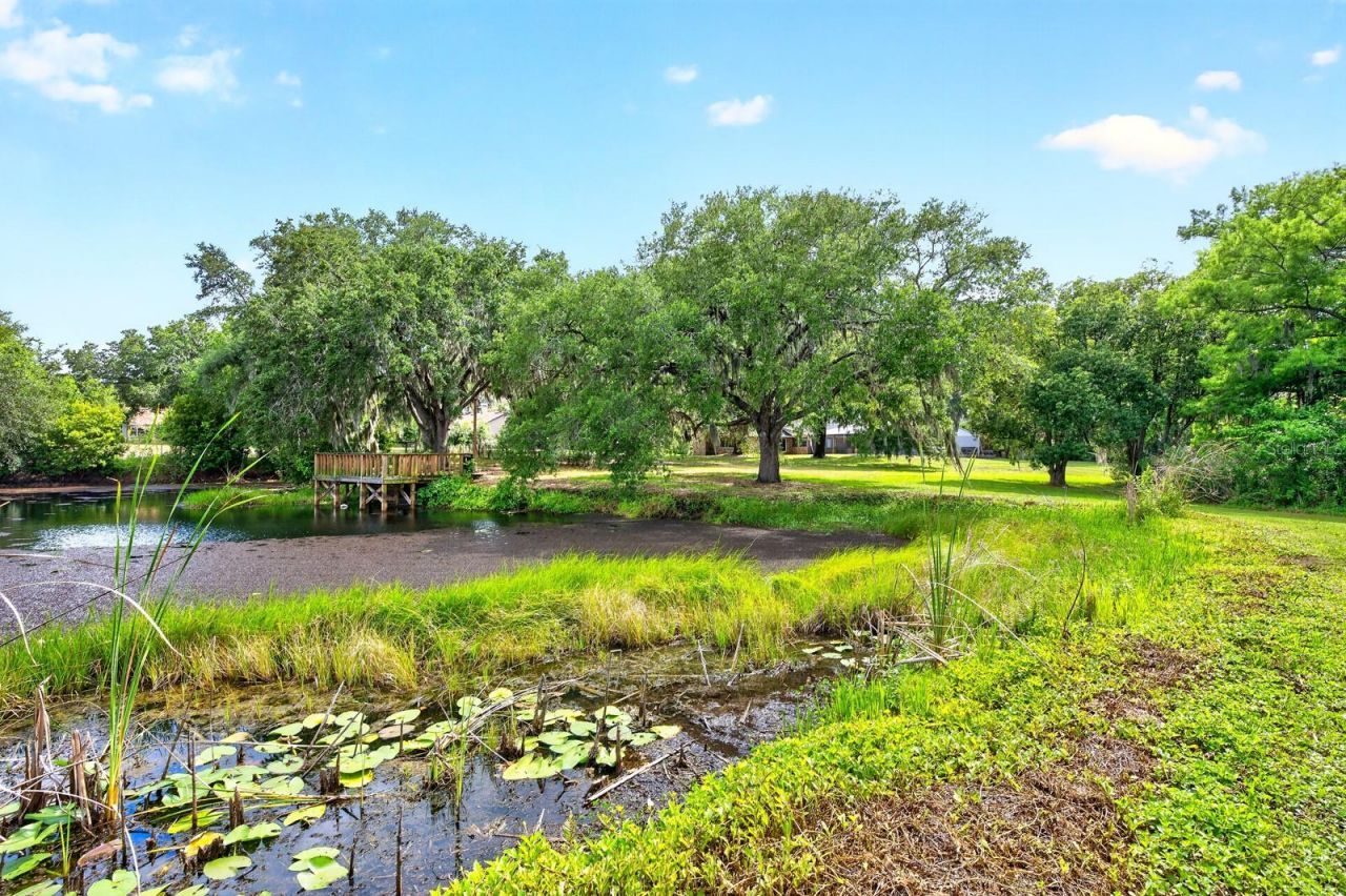 1600 E 10th Street, Saint Cloud, FL 34771 Photo