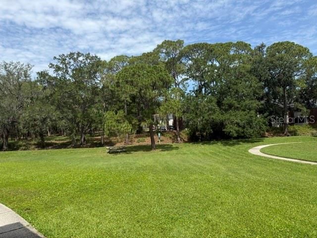 9100 Dr Martin Luther King Jr Street N, Unit 512, Saint Petersburg, FL 33702 Photo