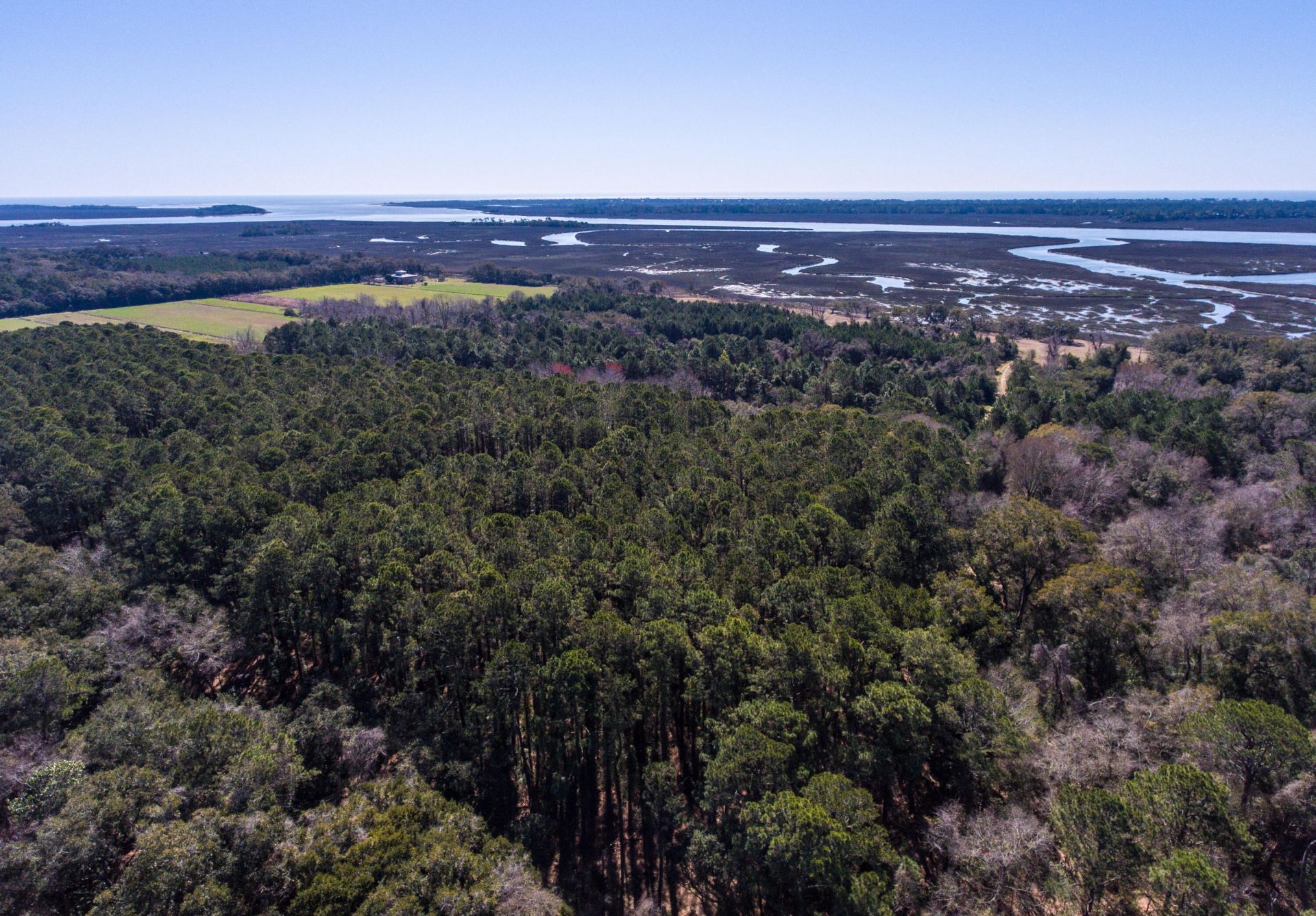 3495 Legareville Road Photo 10