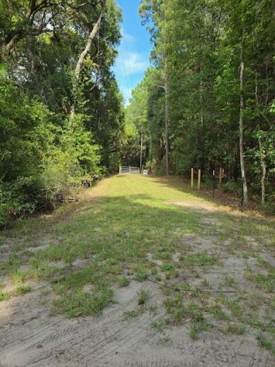3495 Legareville Road Photo 20