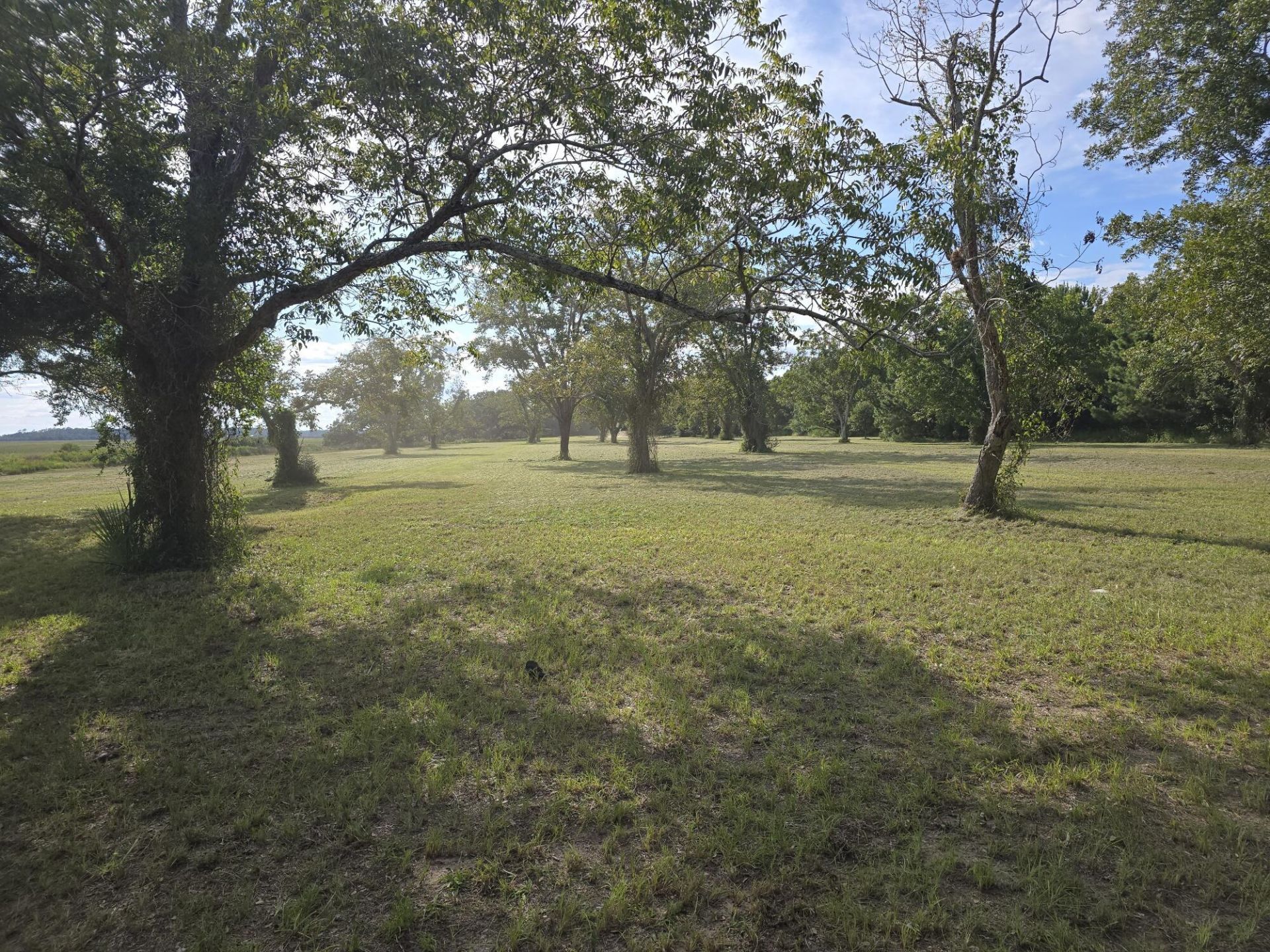 3495 Legareville Road Photo 28