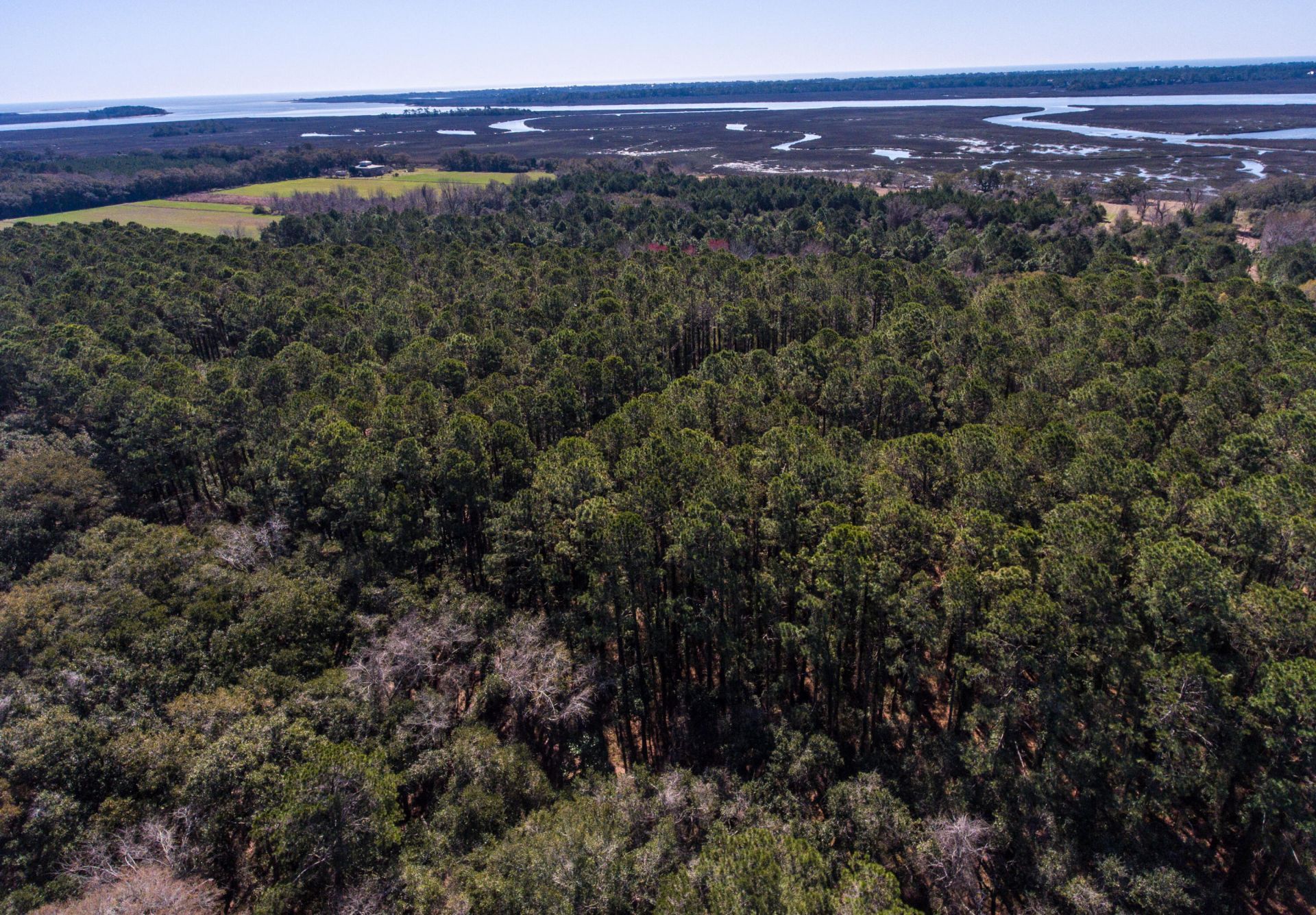 3495 Legareville Road Photo 5