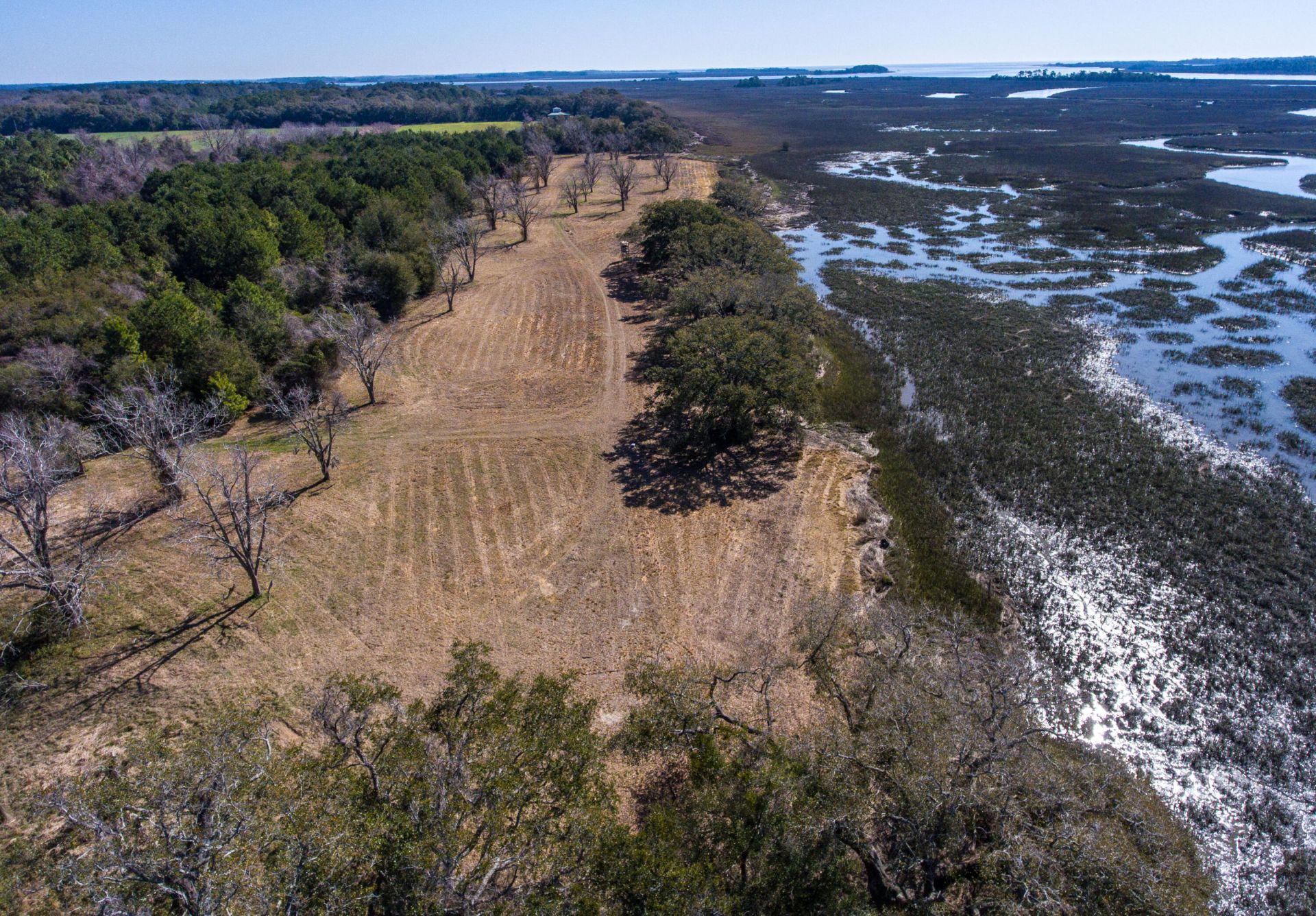 3495 Legareville Road Photo 6