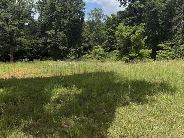 Lot 2 Pig Road , Smiths Grove, KY 42171
