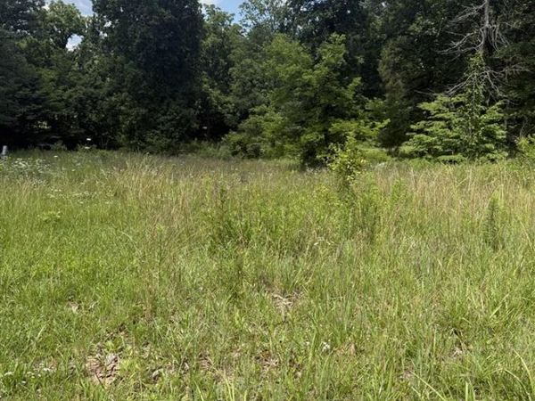 Lot 3 Pig Road , Smiths Grove, KY 42171
