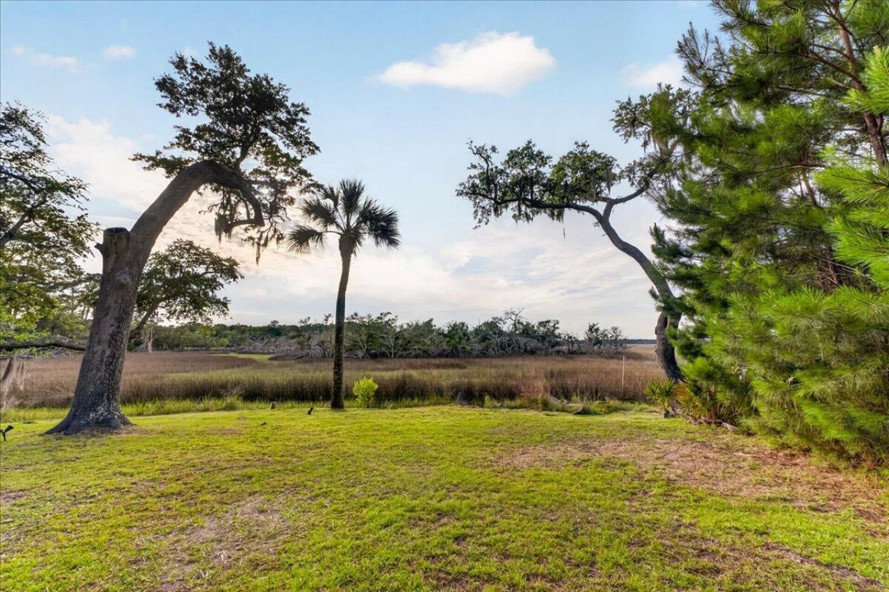 167 Cape Palmetto Point Trail Photo 63