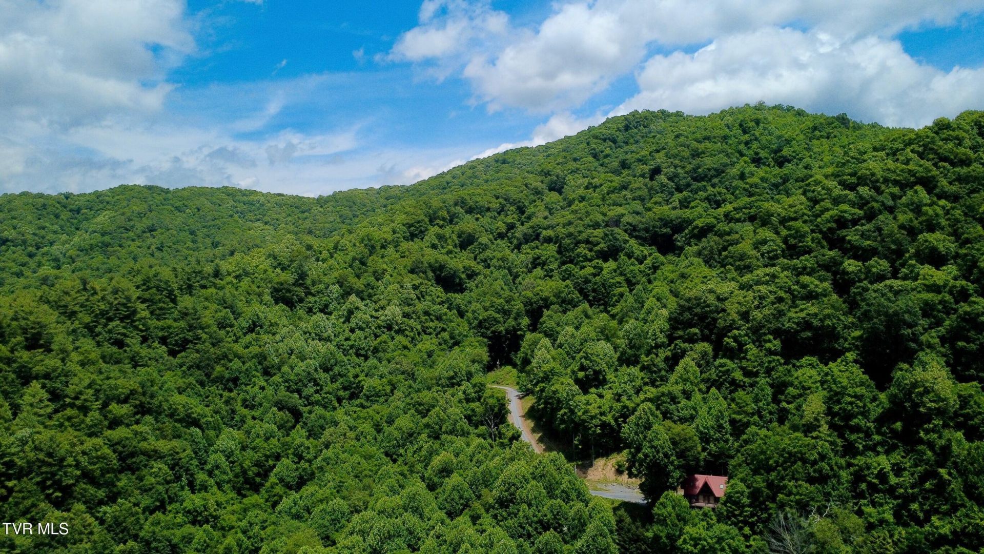115 Deer Run Drive, Flag Pond, TN 37657 Main Photo