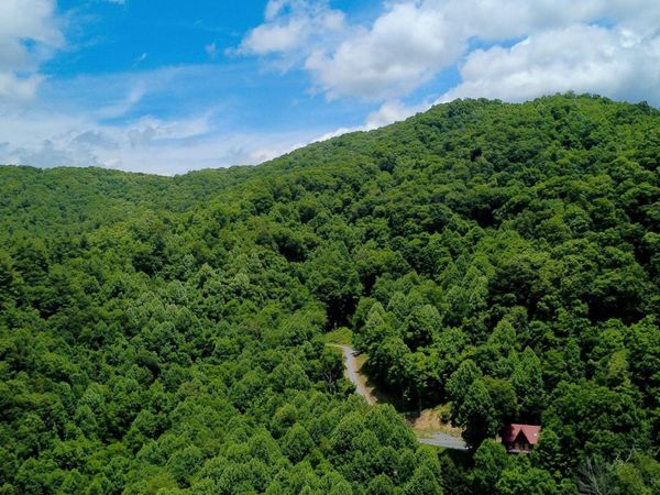 115 Deer Run Drive, Flag Pond, TN 37657