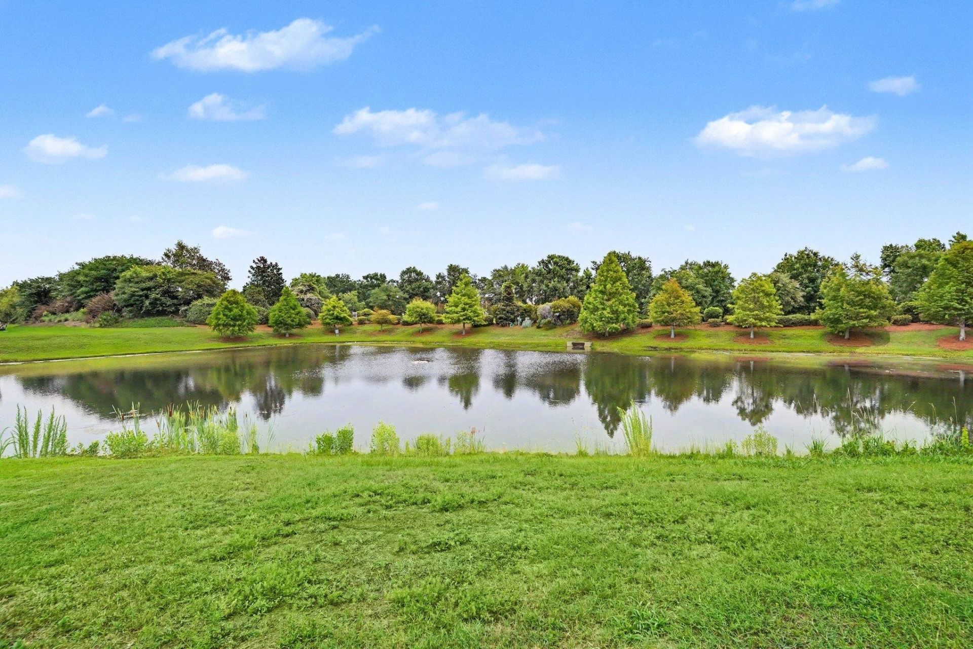 1041 Balmore Dr.  Photo 31