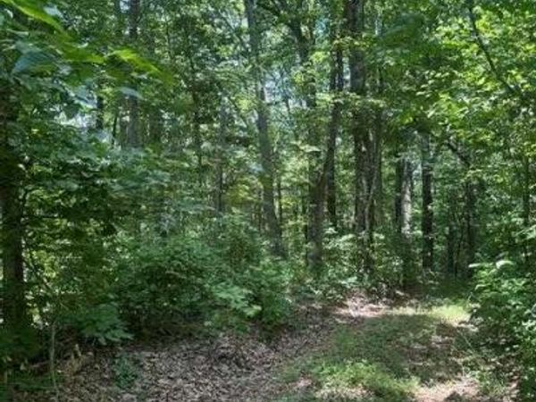0 W Of Ward Fork Rd, Whitleyville, TN 38588