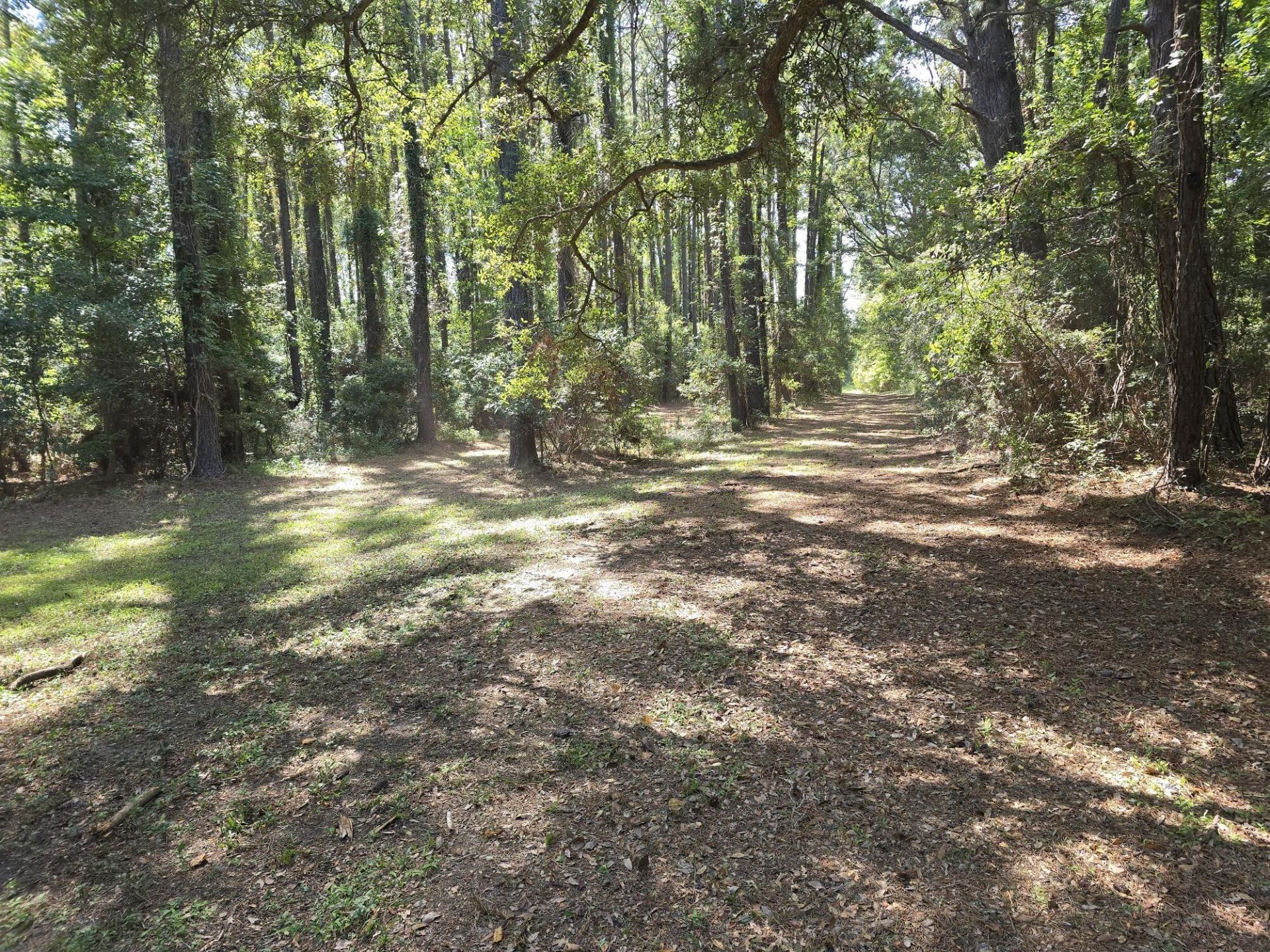 0 Legareville Road Photo 29
