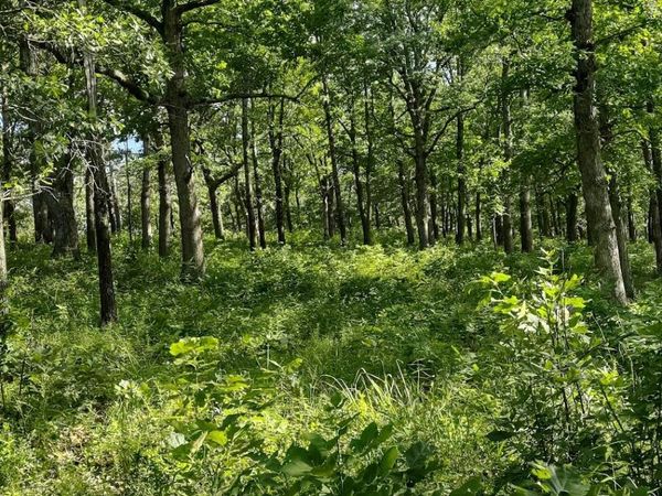 36501 Mohave Drive , Eldridge, MO 65463
