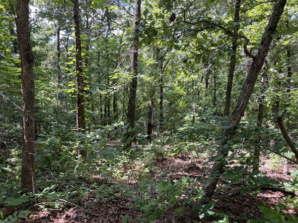 000 Pr Off Ridge Haven , Mammoth Spring, AR 72554