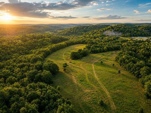 1029 Bear Hollow Road, Pineville, MO 64856