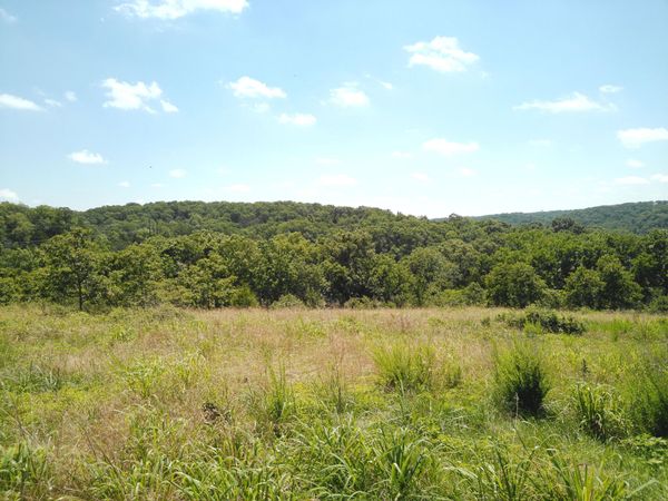 1029 Bear Hollow Road , Pineville, MO 64856