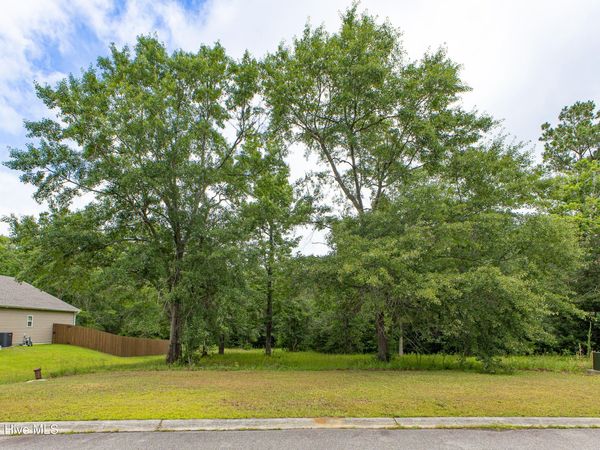 529 N Wild Rice Drive SW, Supply, NC 28462