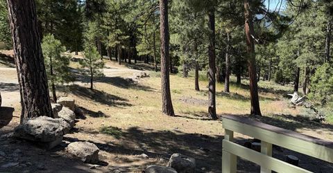 69067 Porcupine Road, Blairsden, CA 96103 Photo