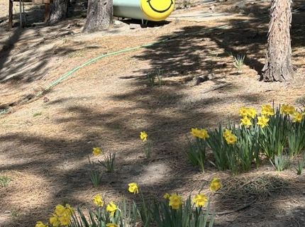 69067 Porcupine Road, Blairsden, CA 96103 Photo