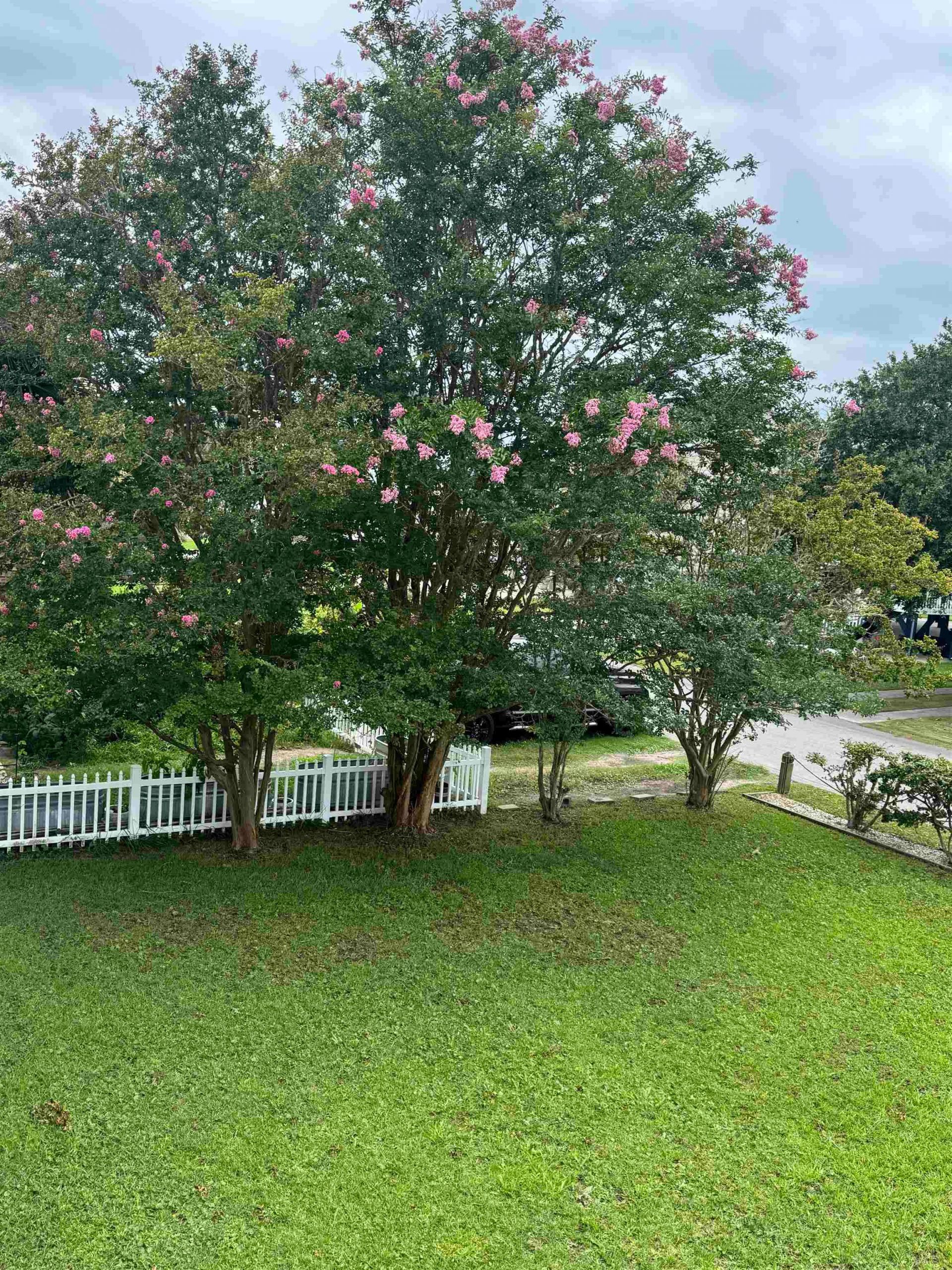 4612 Hedrick St. Photo 4