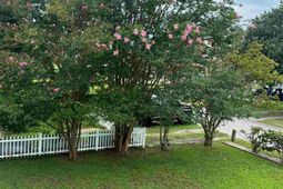 4612 Hedrick St. photo 4