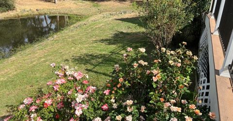 4294 S Creekhaven Rd, Auburn, CA 95602 Photo