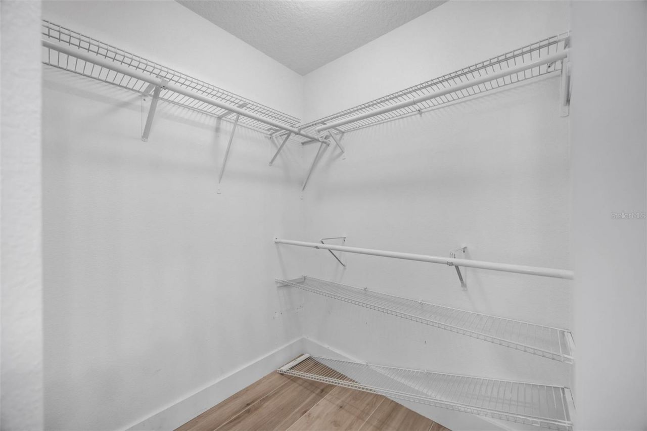 8427 Hawbuck Street, Trinity, FL 34655 Photo