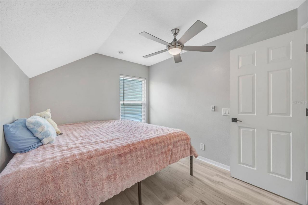 8427 Hawbuck Street, Trinity, FL 34655 Photo