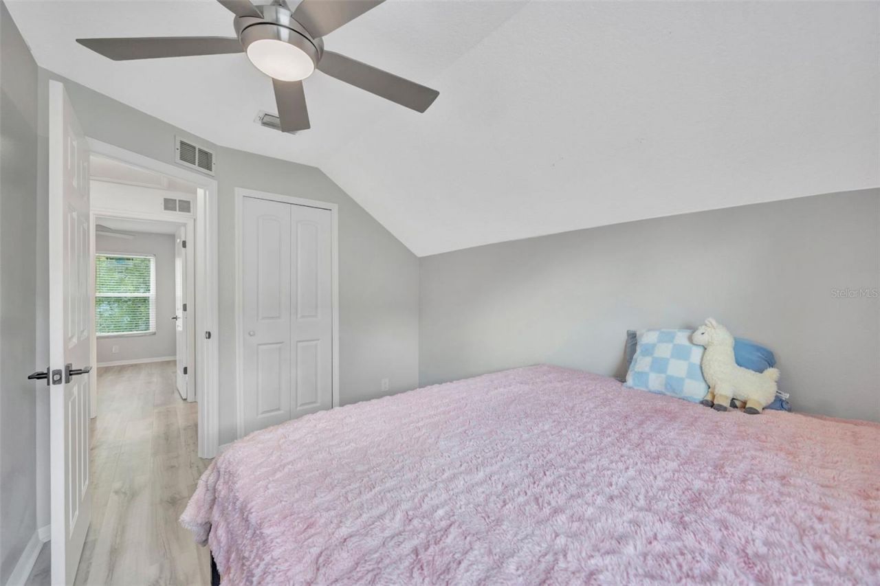 8427 Hawbuck Street, Trinity, FL 34655 Photo