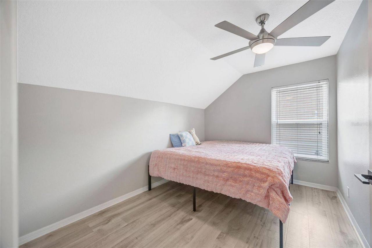 8427 Hawbuck Street, Trinity, FL 34655 Photo