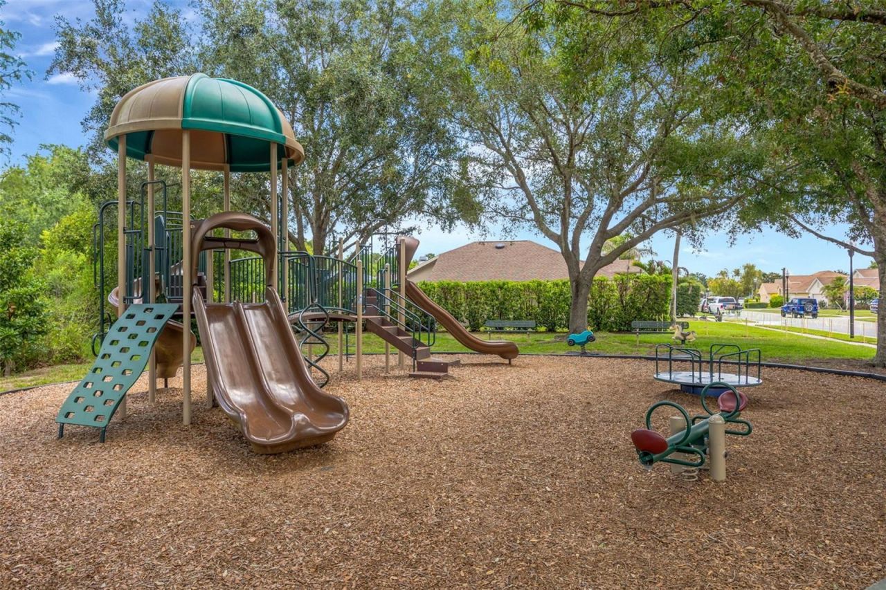 8427 Hawbuck Street, Trinity, FL 34655 Photo