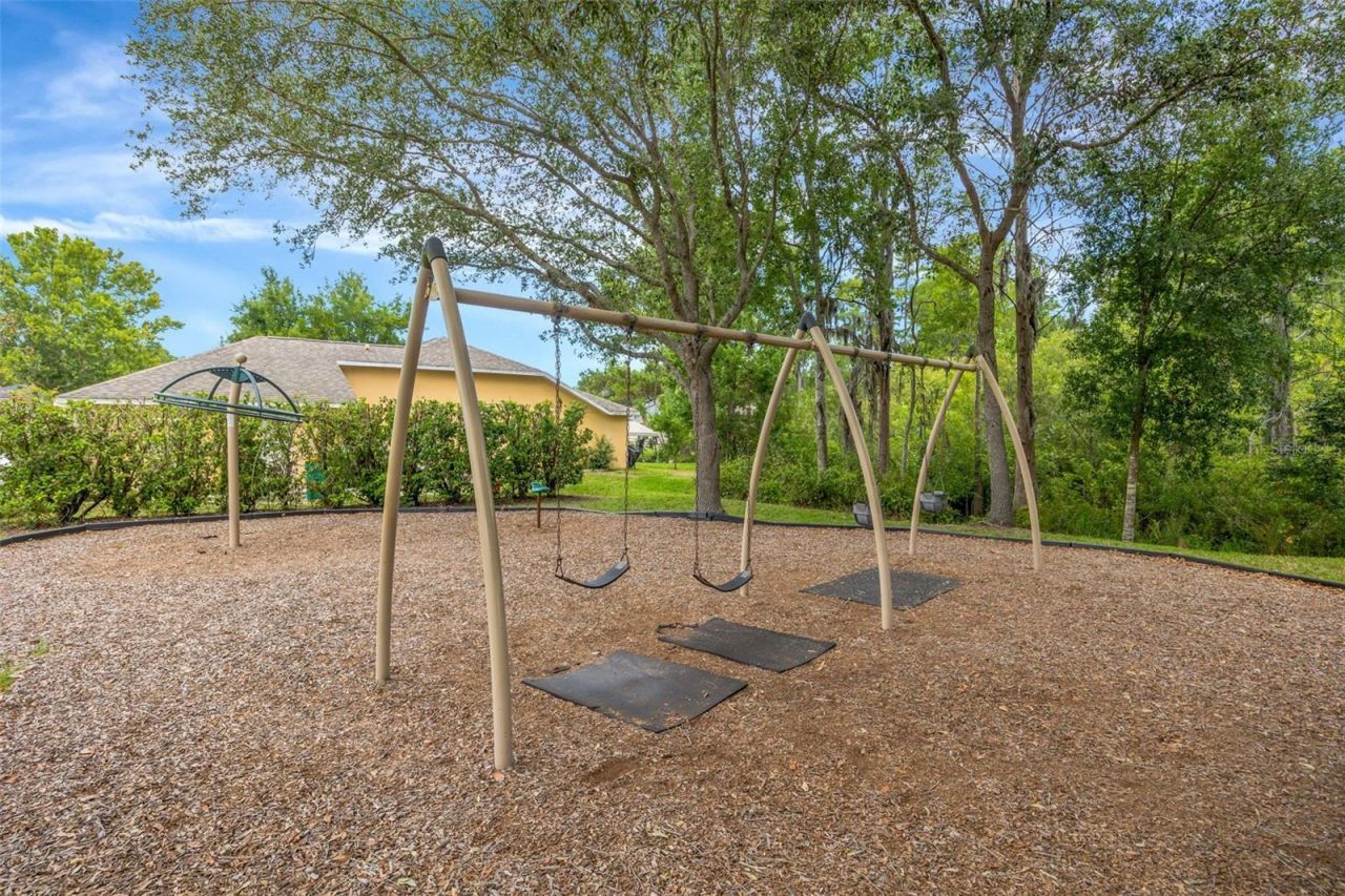 8427 Hawbuck Street, Trinity, FL 34655 Photo