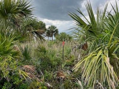 50760 Bermont Road , Punta Gorda, FL 33982 Photo