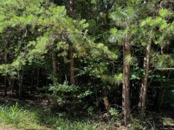 0 Southern Pines Drive, Ellijay, GA 30540
