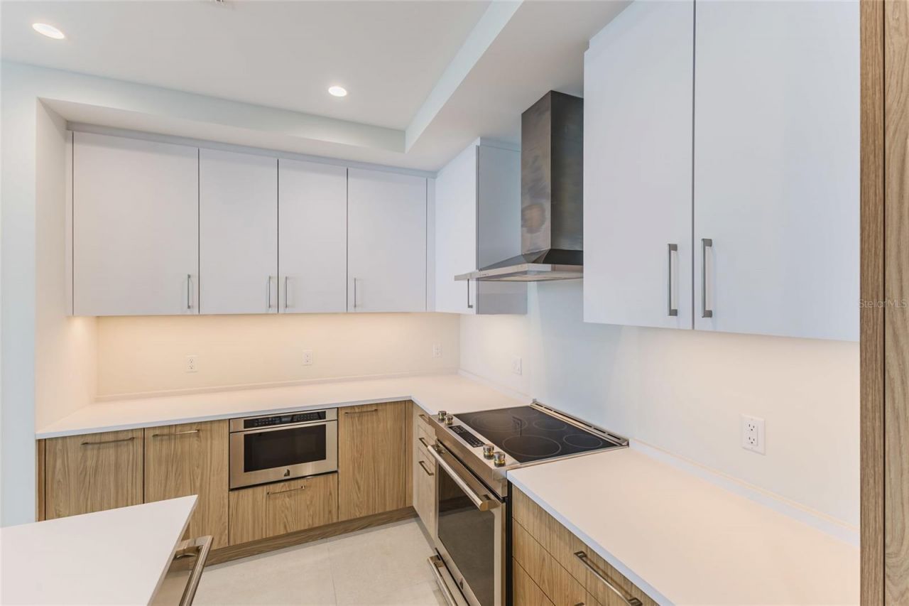 275 1st Avenue S, Unit 3908, Saint Petersburg, FL 33701 Photo