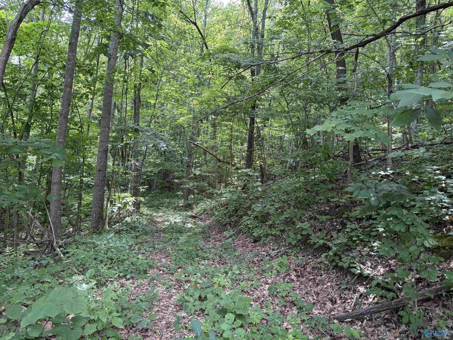 Property Image 35