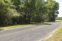 2 Joseph Lemon & Dingle Road photo 4