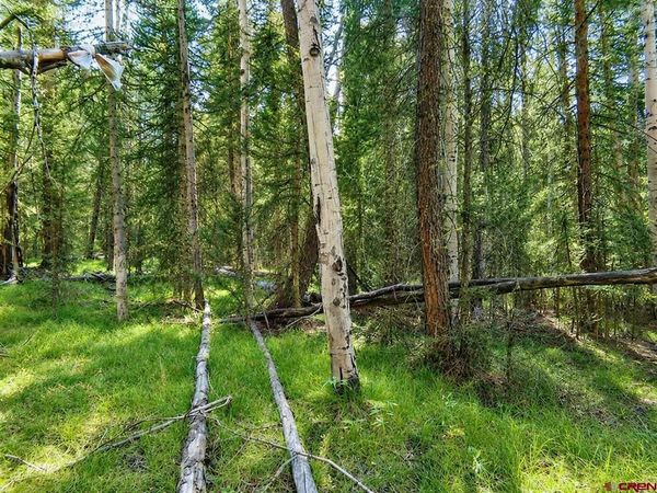 445 Aspen Trail, Cimarron, CO 81220