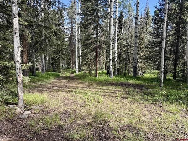 425 Aspen Trail, Cimarron, CO 81220