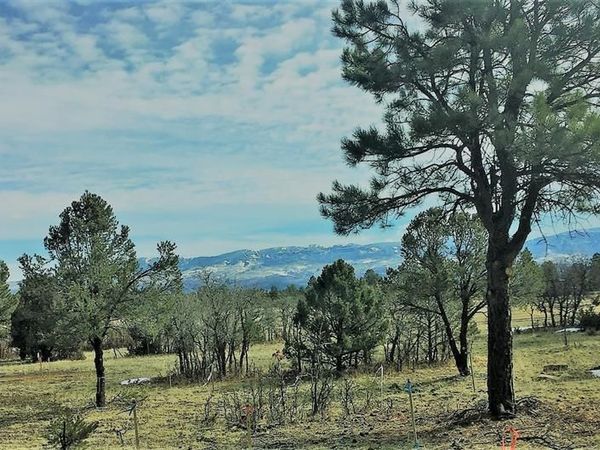 TBD S Badger Trail, Ridgway, CO 81432
