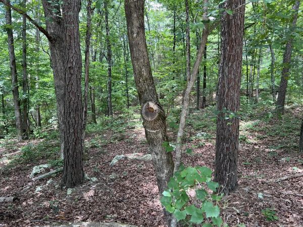 00 Rock Hill Road , Fairfield Bay, AR 72088