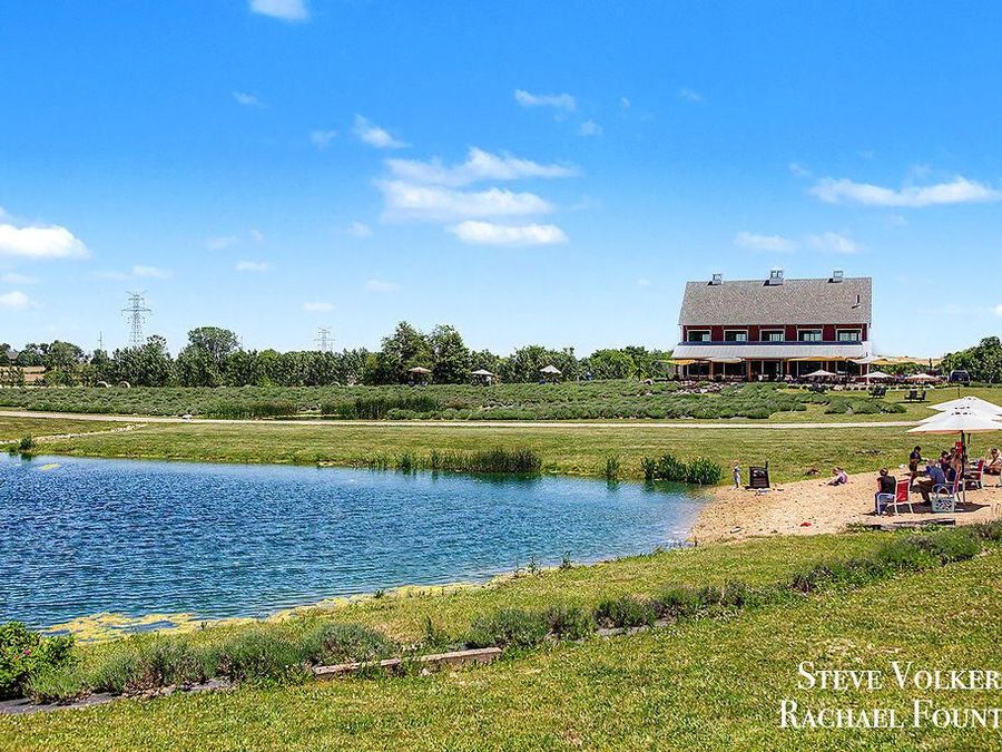 Property Image 116