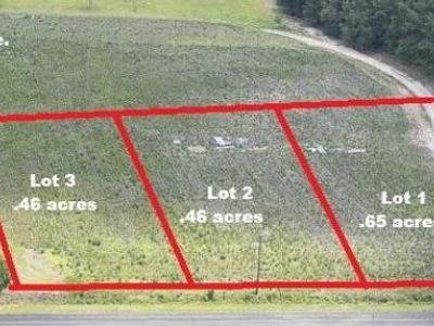 3 Joseph Lemon And Dingle Road, Manning, SC 29102