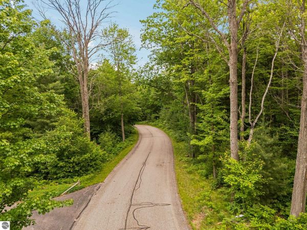 64 Bramblewood Drive, Cadillac, MI 49601