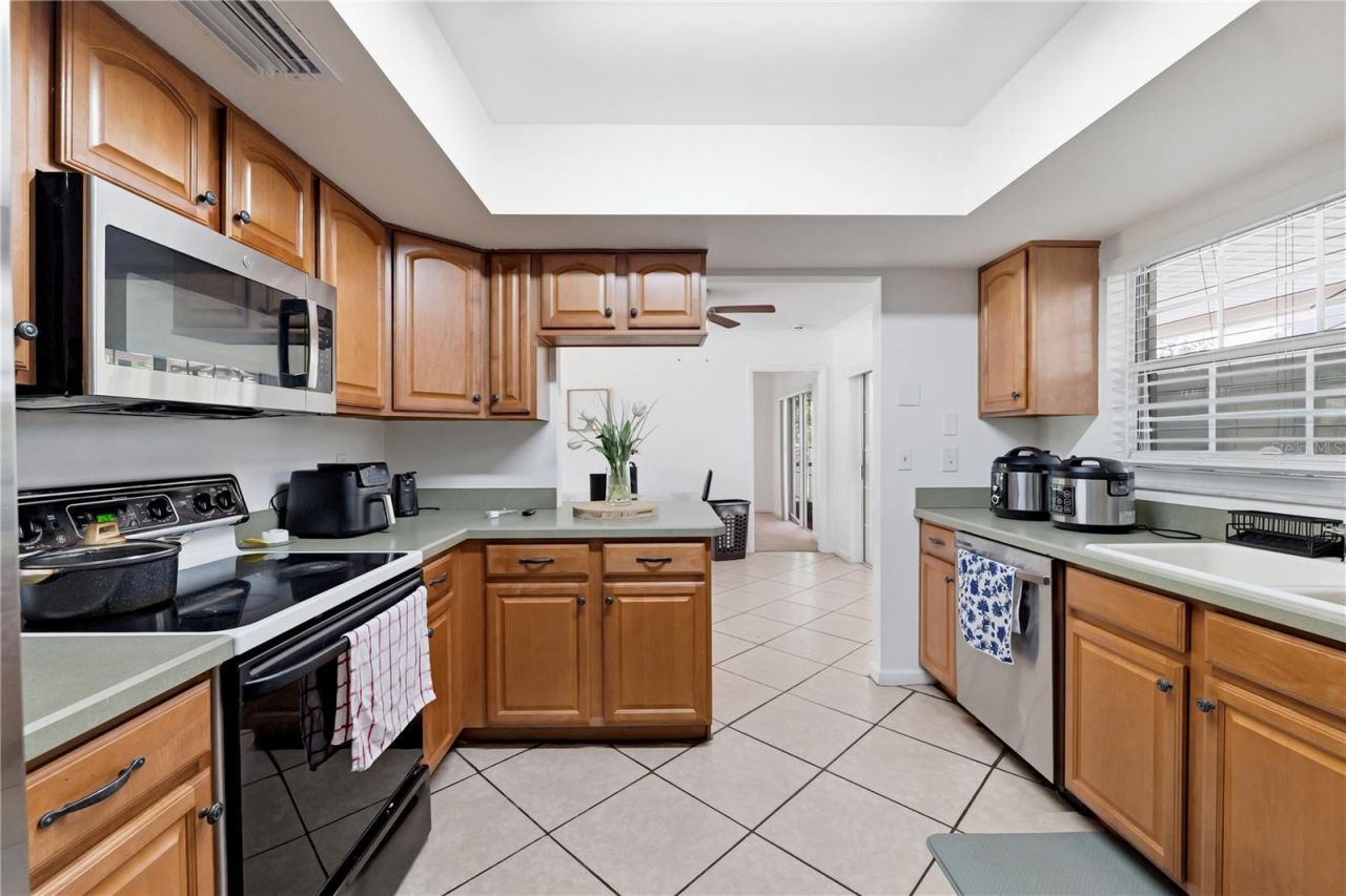 1514 Burning Tree Lane, Brandon, FL 33510 Photo