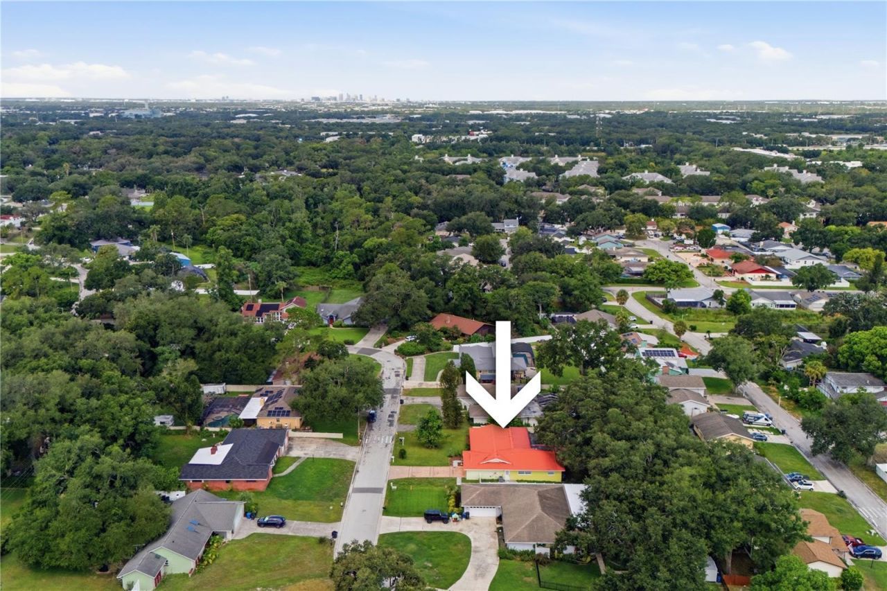 1514 Burning Tree Lane, Brandon, FL 33510 Photo