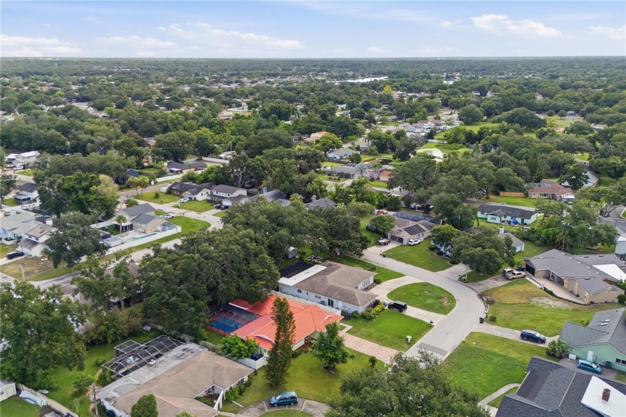 1514 Burning Tree Lane, Brandon, FL 33510 Photo